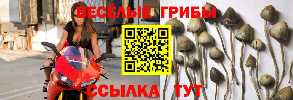 Псилоцибиновые грибы ЛСД  Вход с VPN  Галлюциногенные грибы MAGIC MUSHROOMS  Псков 
